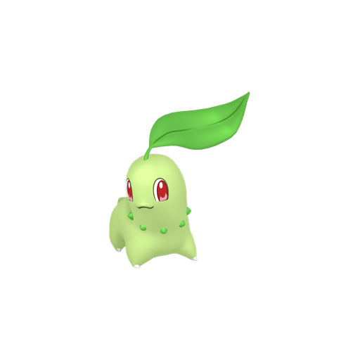 Chikorita