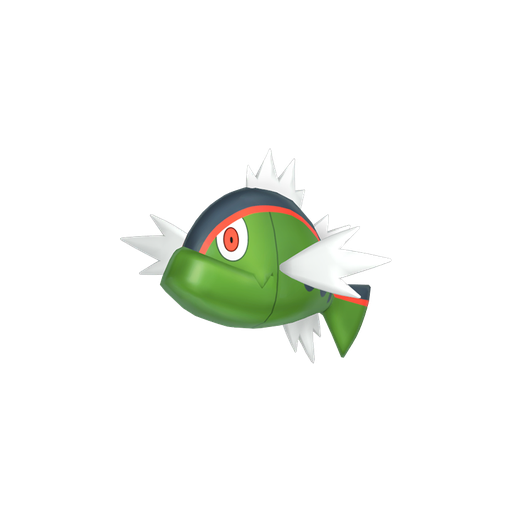 Red Striped Basculin
