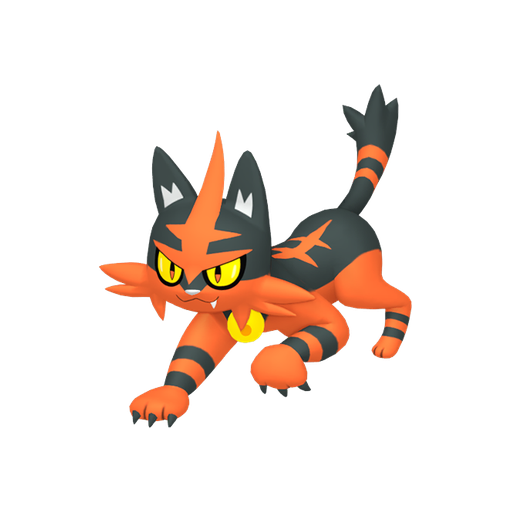 Torracat