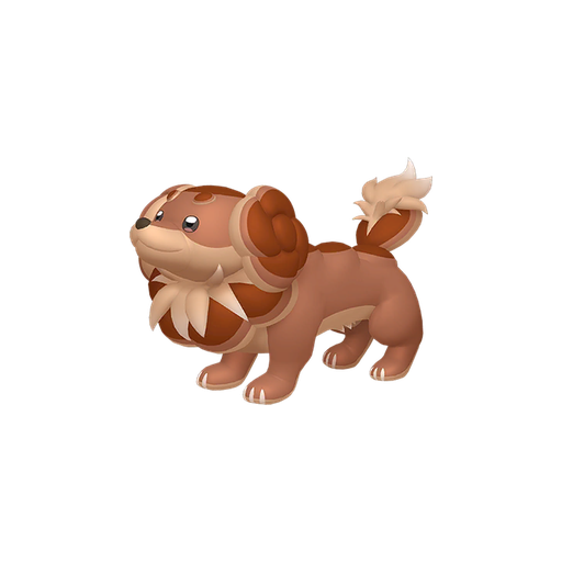 Shiny