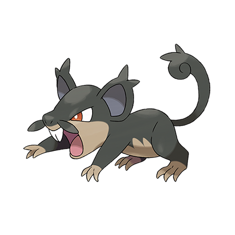 Alola Rattata
