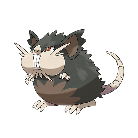 Alola Raticate