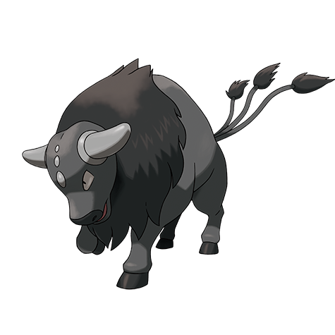 Paldea Combat Breed Tauros
