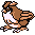 Pidgey