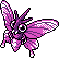 Venomoth