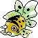 Shiny
