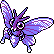 Shiny