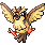 Pidgey