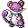 Rattata