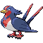 Swellow