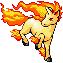 Rapidash