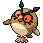 Hoothoot