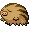 Swinub
