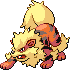 Arcanine