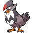 Staraptor
