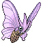 Venomoth