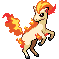 Ponyta