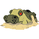 Shiny