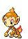 Chimchar
