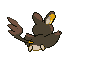 Back Shiny