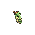 Caterpie
