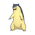 Typhlosion