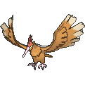 Fearow
