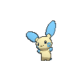 Minun