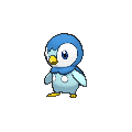 Piplup