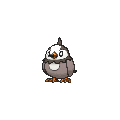 Starly