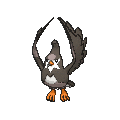 Staravia