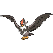 Staraptor