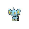 Shinx