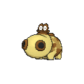 Hippopotas