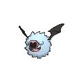 Woobat