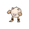 Primeape