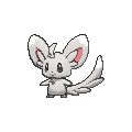 Minccino