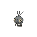 Scatterbug