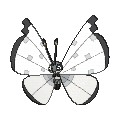 Vivillon