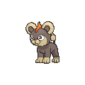 Litleo