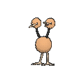 Doduo
