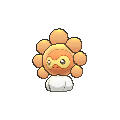 Shiny