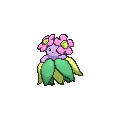 Shiny