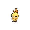 Shiny