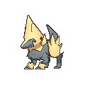 Shiny