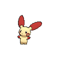 Shiny
