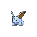 Shiny