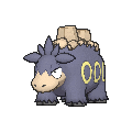 Shiny