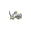 Shiny