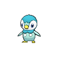 Shiny